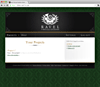 Ravel Virtual Studios Clients - Original client dashboard, 2006.
